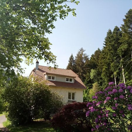 Vosges House 110 M2 In The Heart Of Nature L'Oree Du Bois Saint-Michel-sur-Meurthe Buitenkant foto