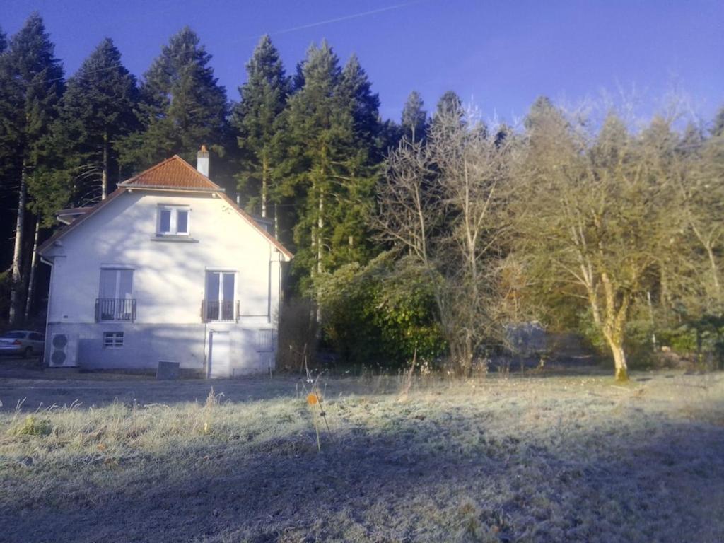 Vosges House 110 M2 In The Heart Of Nature L'Oree Du Bois Saint-Michel-sur-Meurthe Buitenkant foto