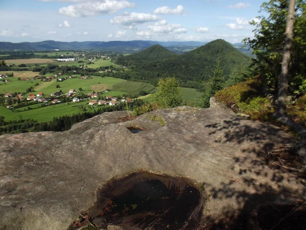Vosges House 110 M2 In The Heart Of Nature L'Oree Du Bois Saint-Michel-sur-Meurthe Buitenkant foto