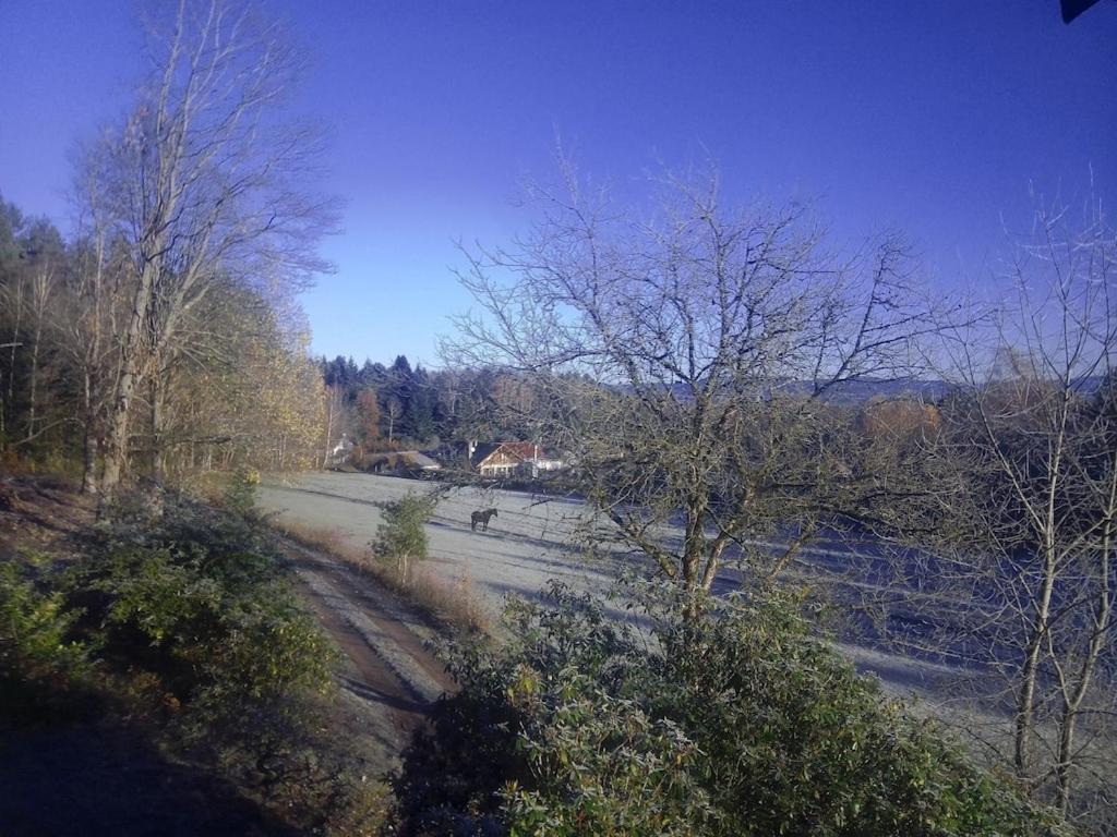 Vosges House 110 M2 In The Heart Of Nature L'Oree Du Bois Saint-Michel-sur-Meurthe Buitenkant foto
