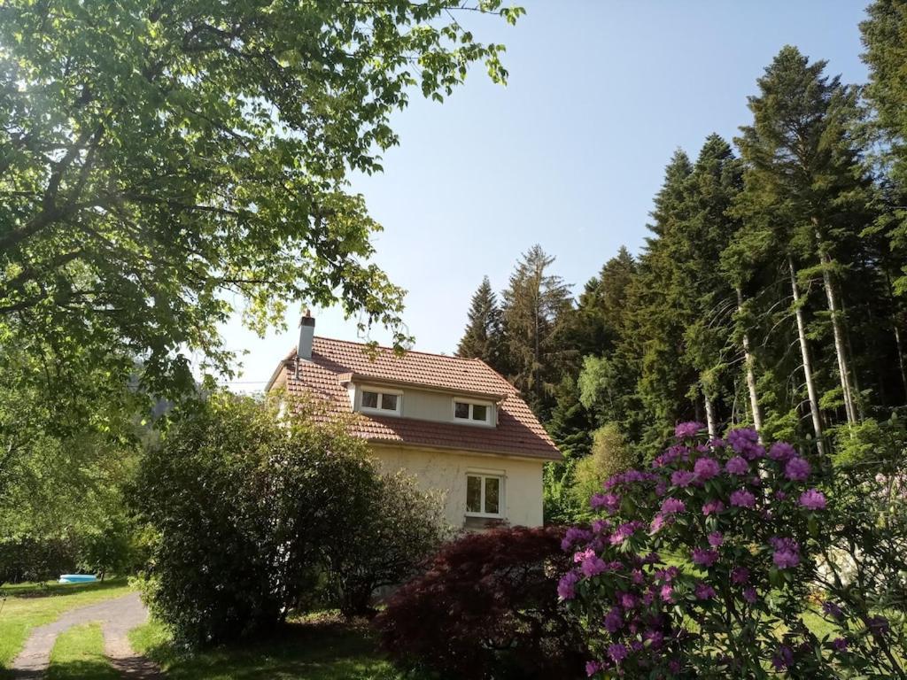 Vosges House 110 M2 In The Heart Of Nature L'Oree Du Bois Saint-Michel-sur-Meurthe Buitenkant foto