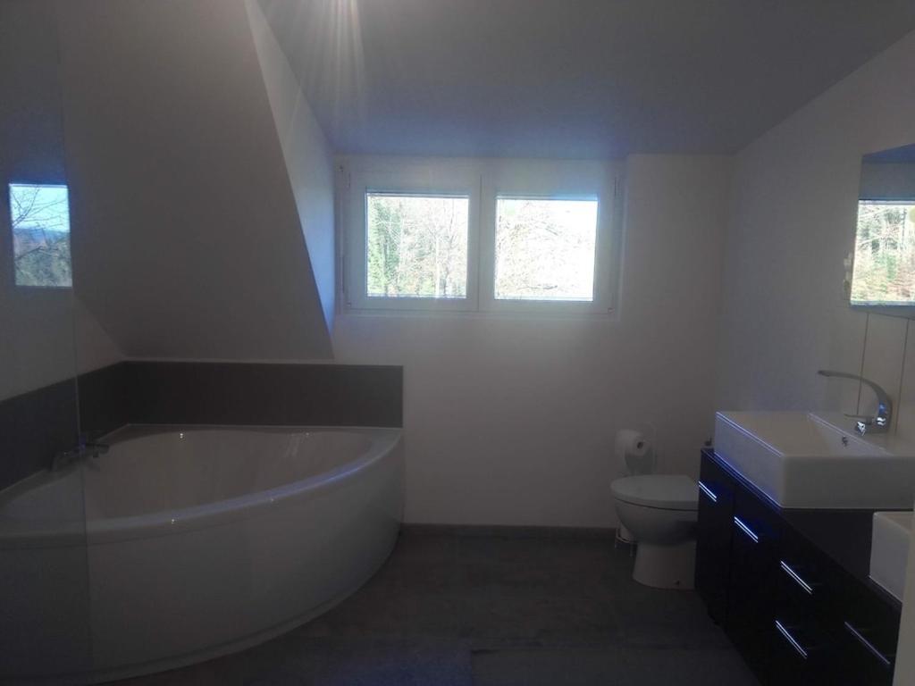 Vosges House 110 M2 In The Heart Of Nature L'Oree Du Bois Saint-Michel-sur-Meurthe Buitenkant foto