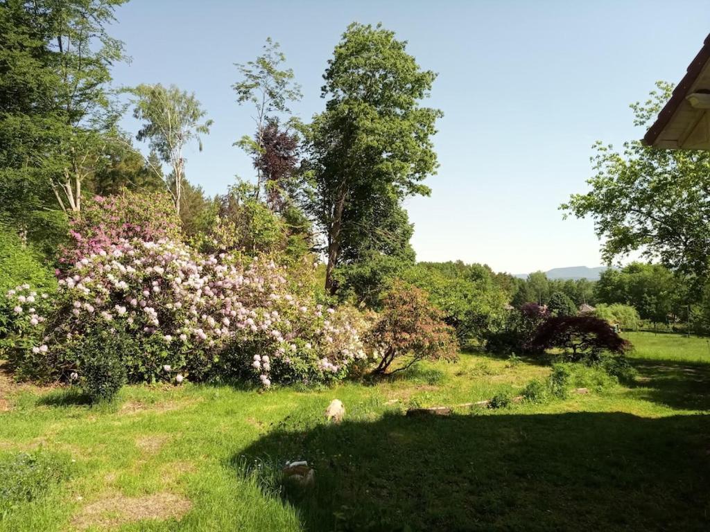 Vosges House 110 M2 In The Heart Of Nature L'Oree Du Bois Saint-Michel-sur-Meurthe Buitenkant foto