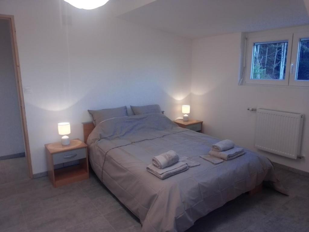 Vosges House 110 M2 In The Heart Of Nature L'Oree Du Bois Saint-Michel-sur-Meurthe Buitenkant foto